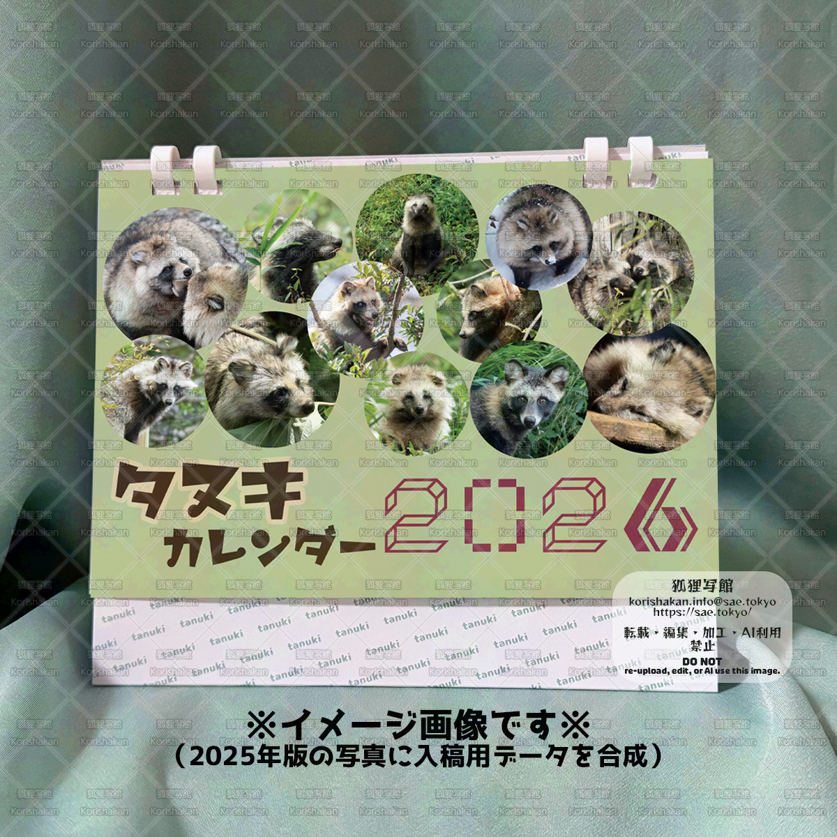 タヌキカレンダー2026 | こたぬさえ（狐狸写館）ポートフォリオサイト