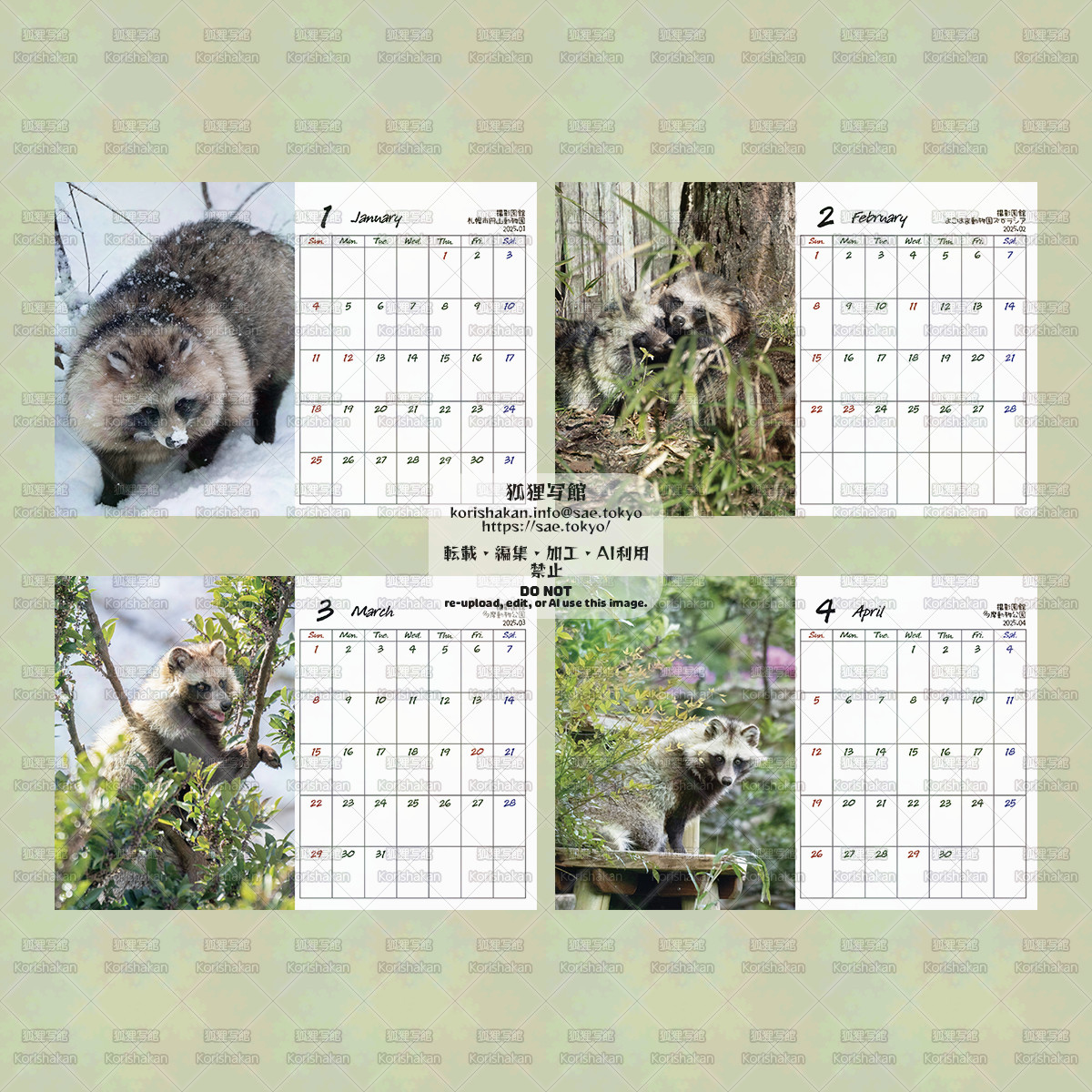 タヌキカレンダー2026 | こたぬさえ（狐狸写館）ポートフォリオサイト