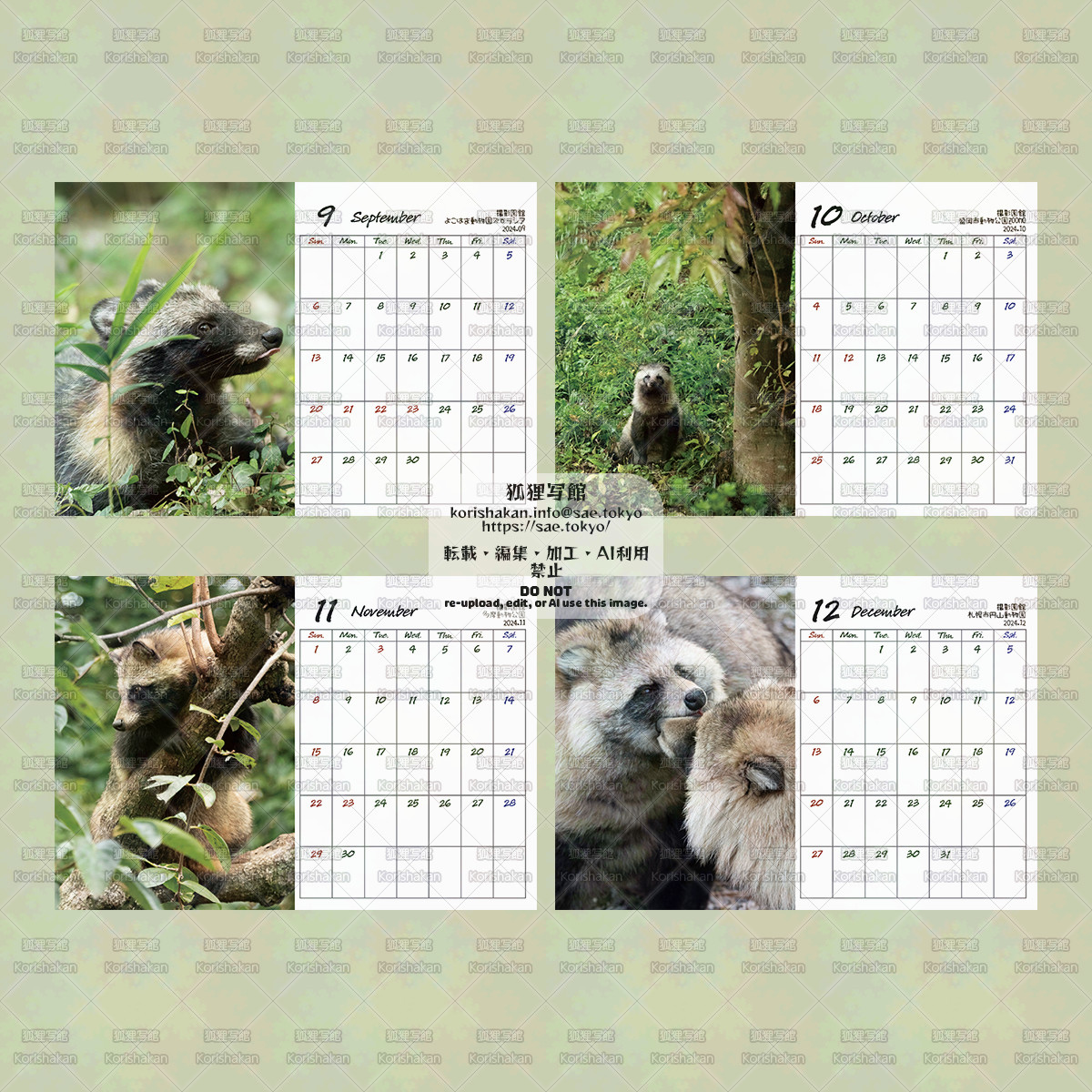 たぬきページ タヌキカレンダー2026 | こたぬさえ（狐狸写館）ポートフォリオサイト