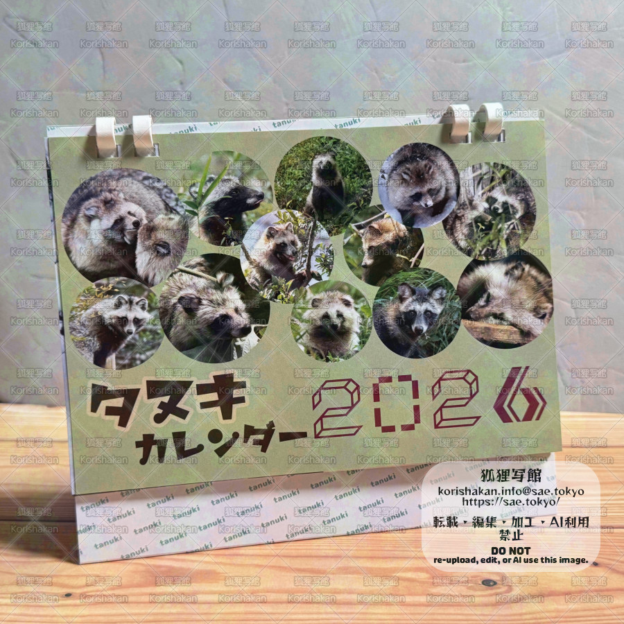 タヌキカレンダー2026 | こたぬさえ（狐狸写館）ポートフォリオサイト